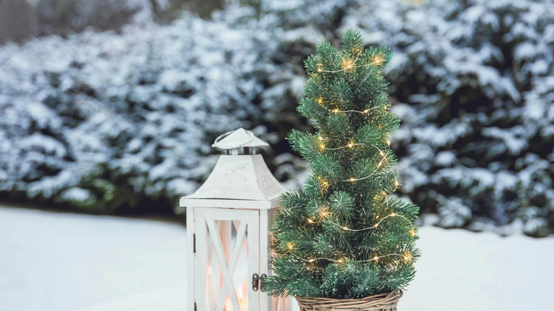Laterne steht neben einem kleinen mit Leuchtketten verzierten Tannenbaum in schneebedeckten Garten.