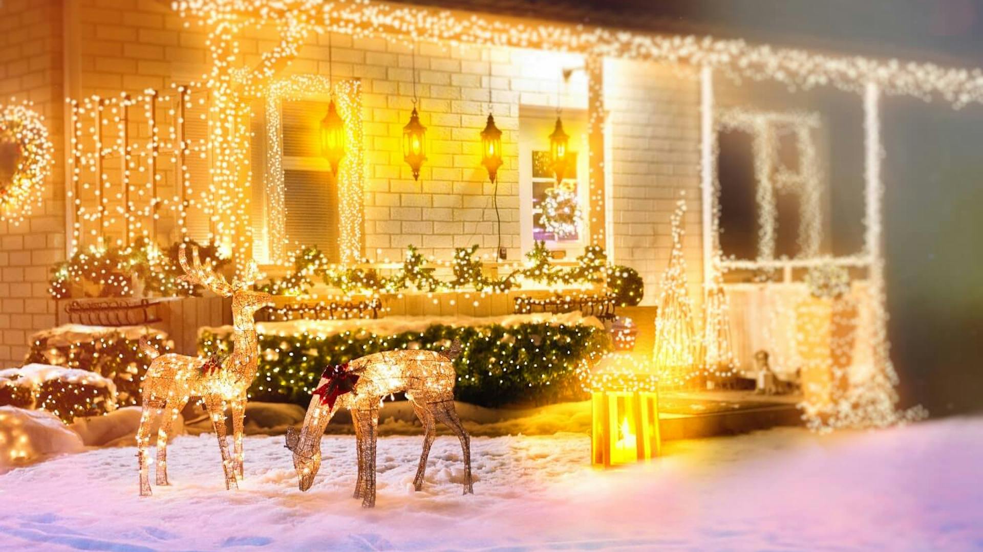 Veranda illuminata di una casa, di fronte un giardino innevato in cui si trovano due animali luminosi.