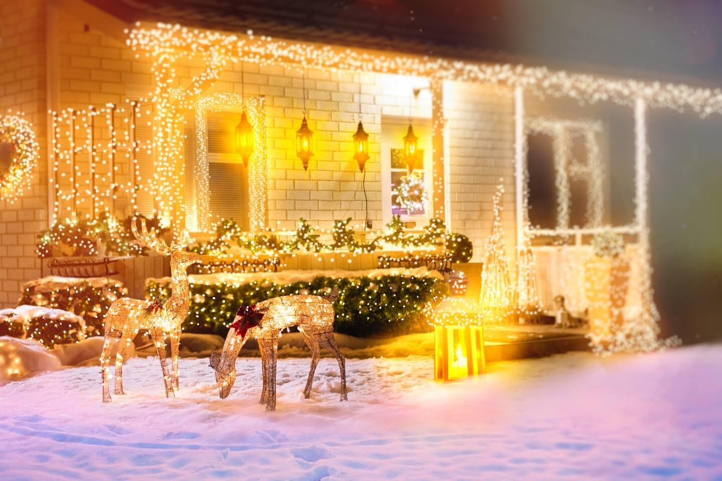 Weihnachtsbeleuchtung außen: Ideen und Tipps  OBI