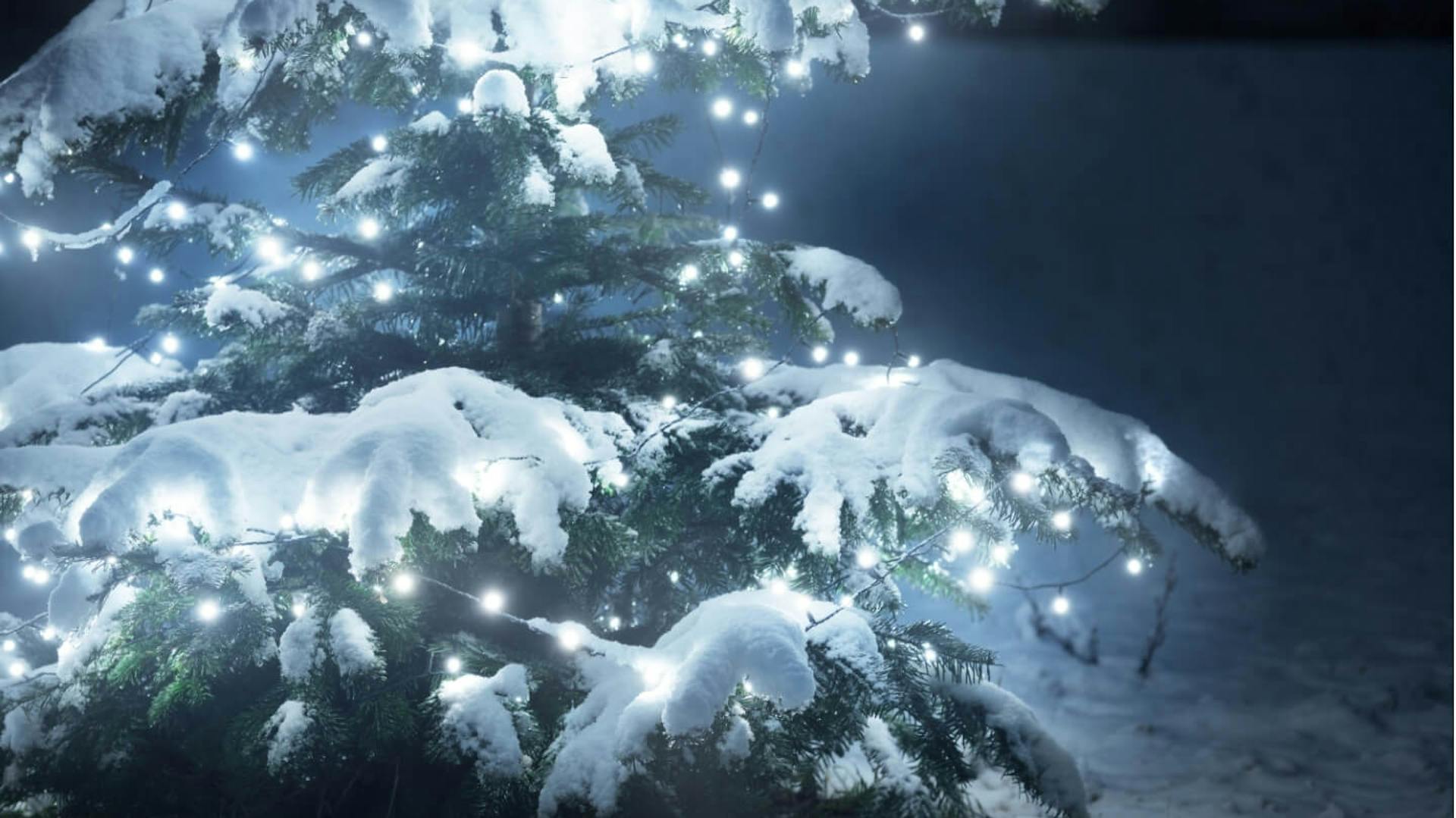 Mit schneebedeckter Tannenbaum mit Lichterkette dekoriert.