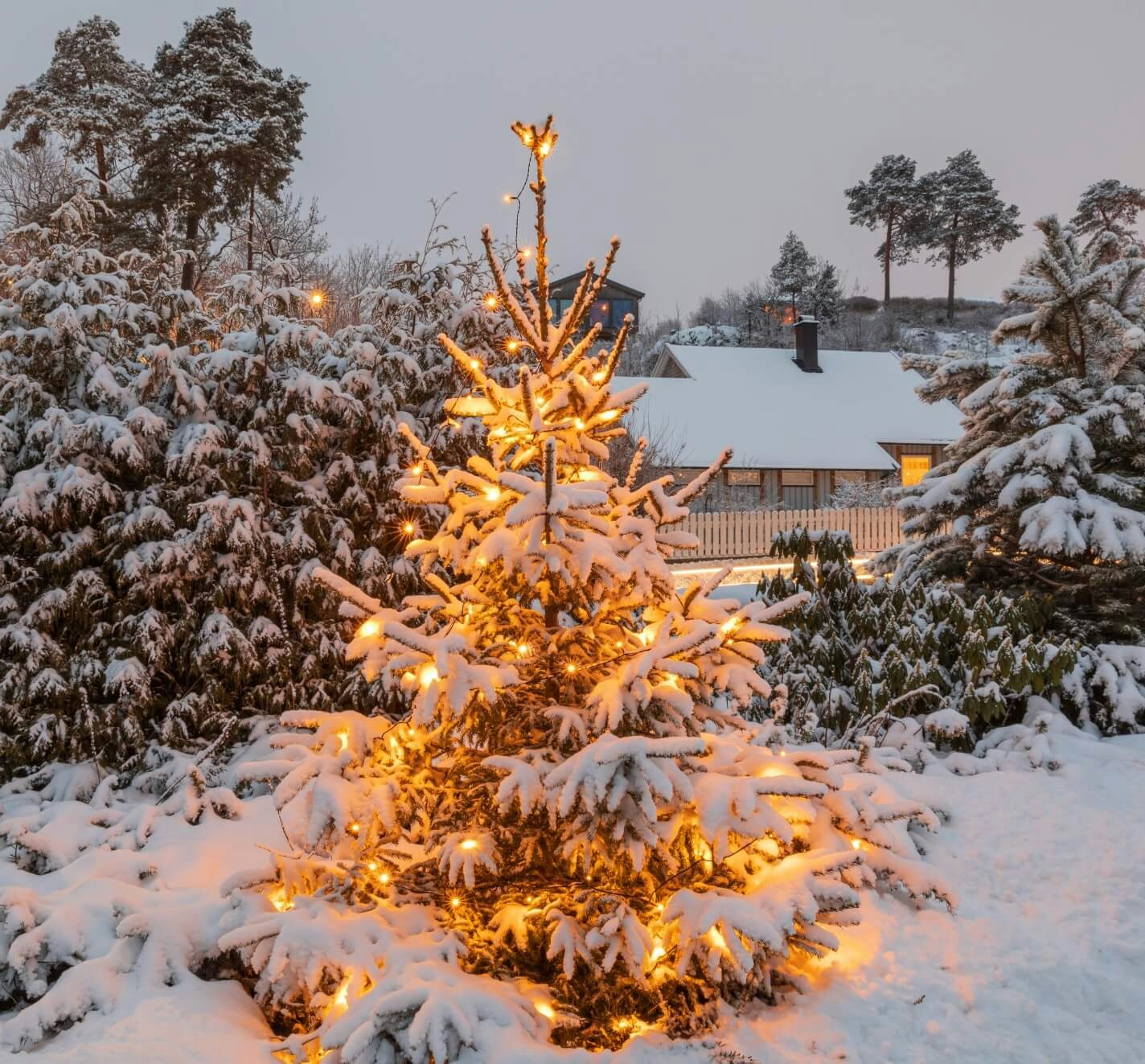 Weihnachtsbeleuchtung aussen – Ideen und Tipps OBI