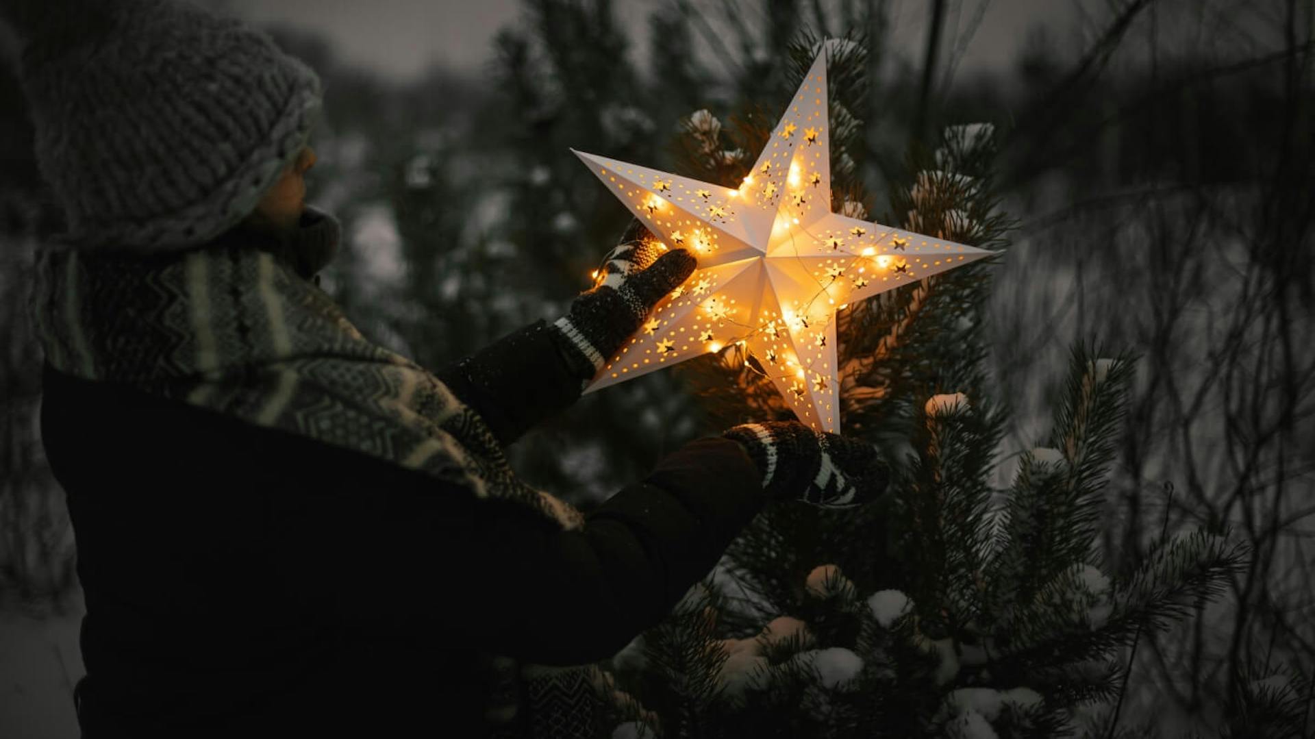Frau hängt großen leuchtenden Weihnachtsstern in die Krone eines kleinen Tannenbaums