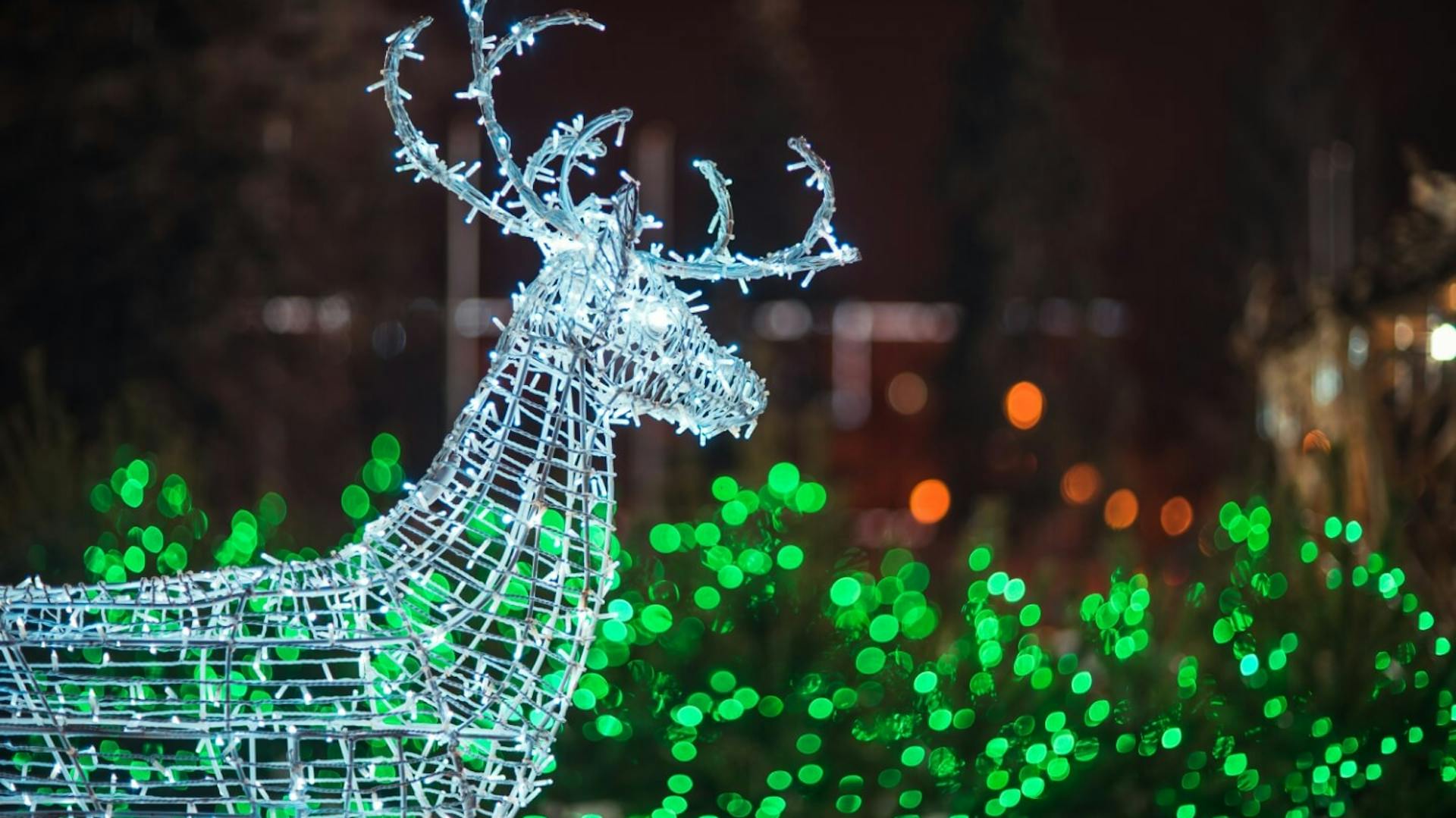 Una renna come figura luminosa, sullo sfondo un cespuglio illuminato con ghirlande luminose.