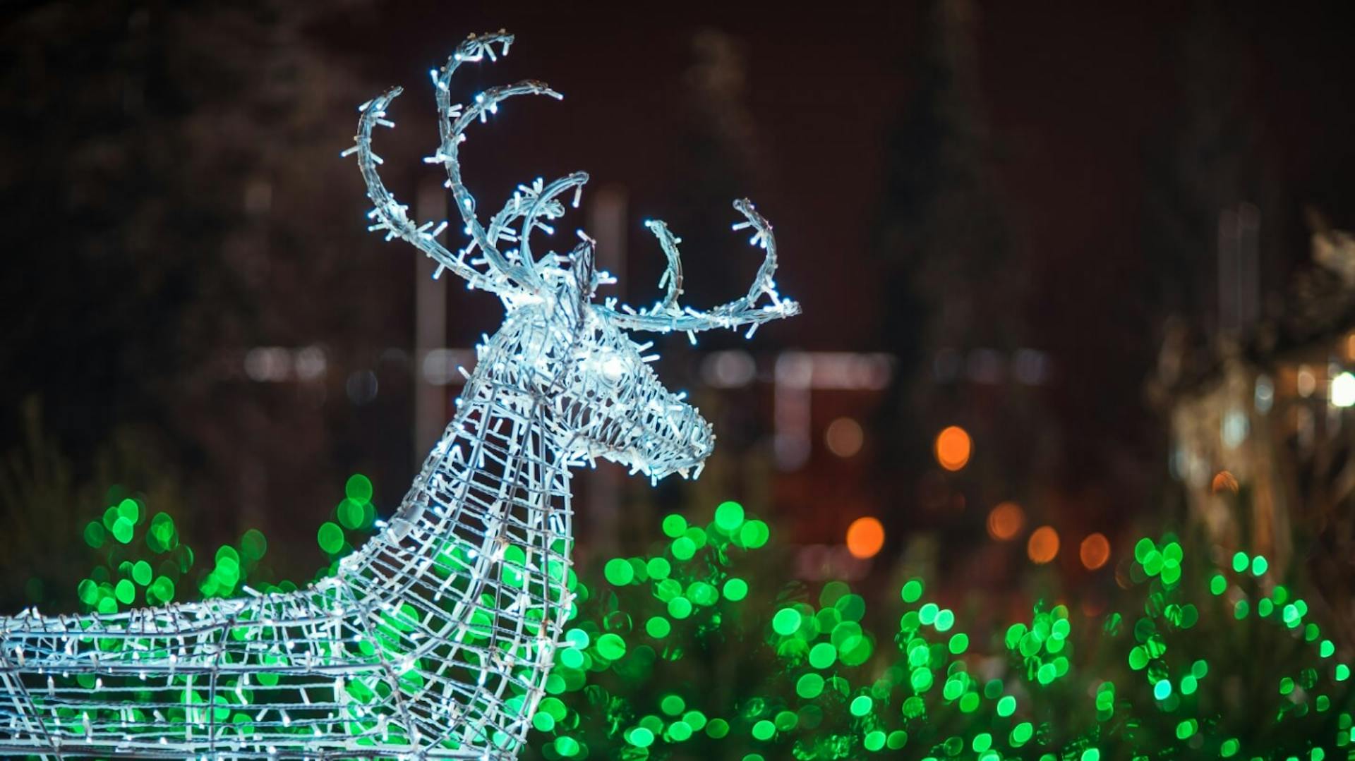 Ein Rentier als Leuchtfigur im Hintergrund mit Lichterketten beleuchtetes Gebüsch.