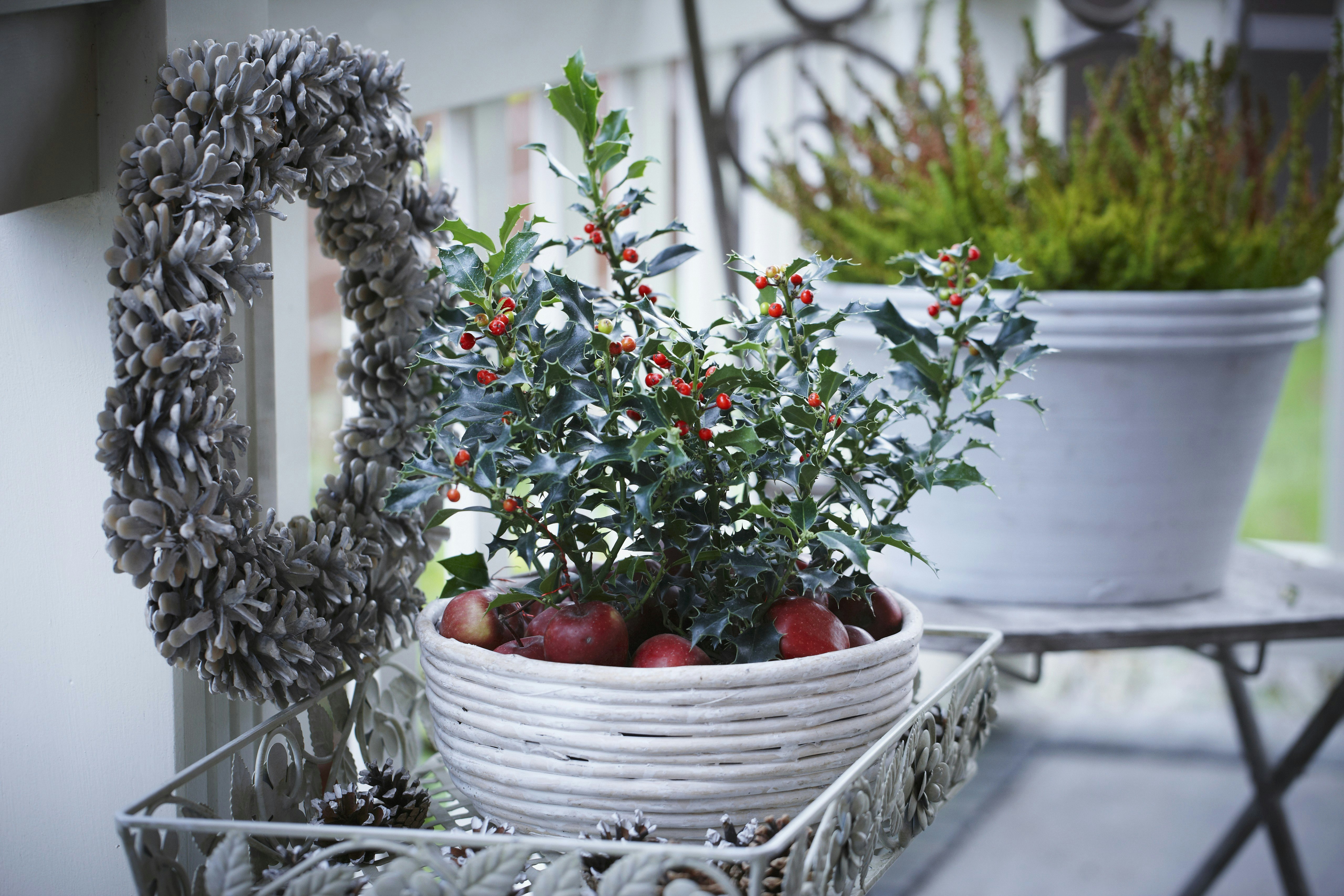 Winterdekoration: Ideen und Tipps für Terrassen | OBI Winterdekoration: Ideen und Tipps für Terrassen | OBI