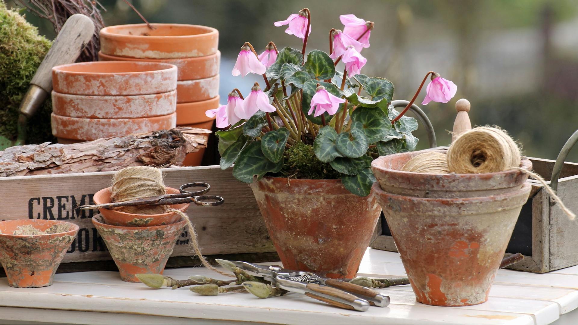 Rôzne terakotové kvetináče stojace vedľa seba.