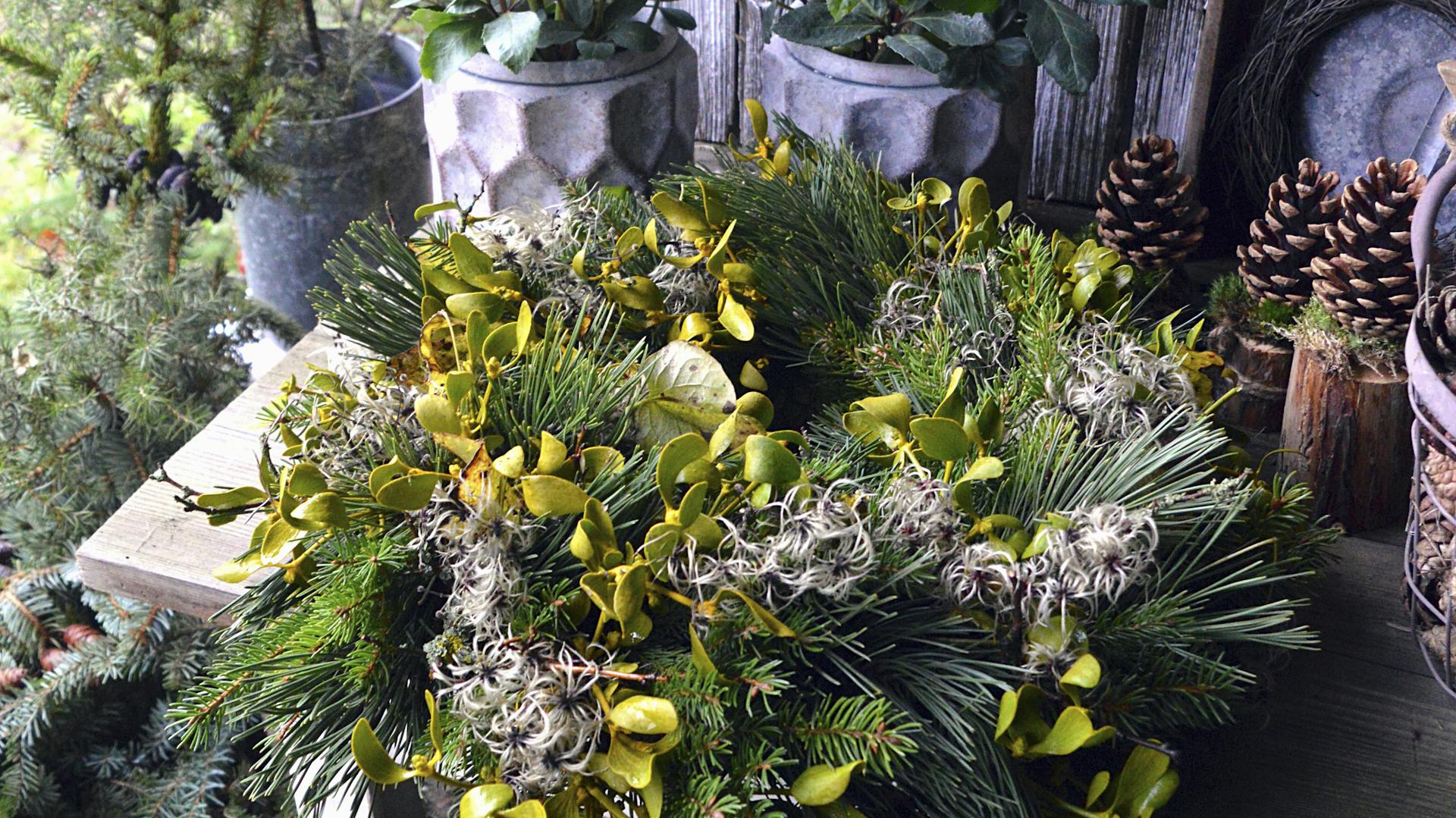 Zmiešaný veniec s borovicou, imelom, smrekom a plamienkom