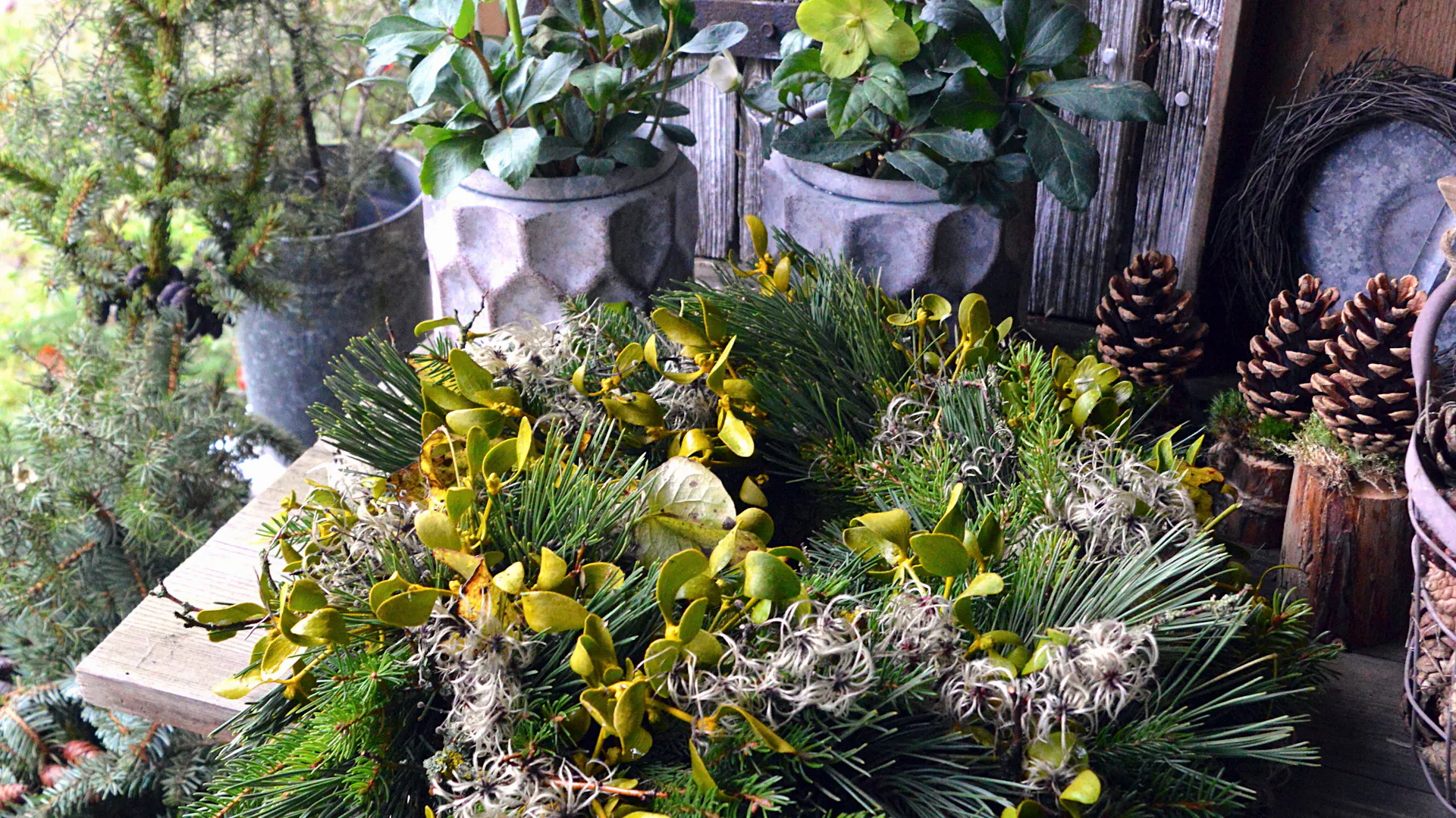 Una ghirlanda mista con pino, vischio, abete rosso e clematide.