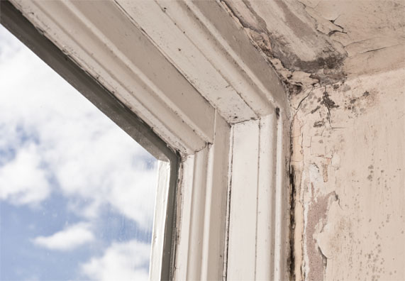 Az ablak körül bepenészedett fal.