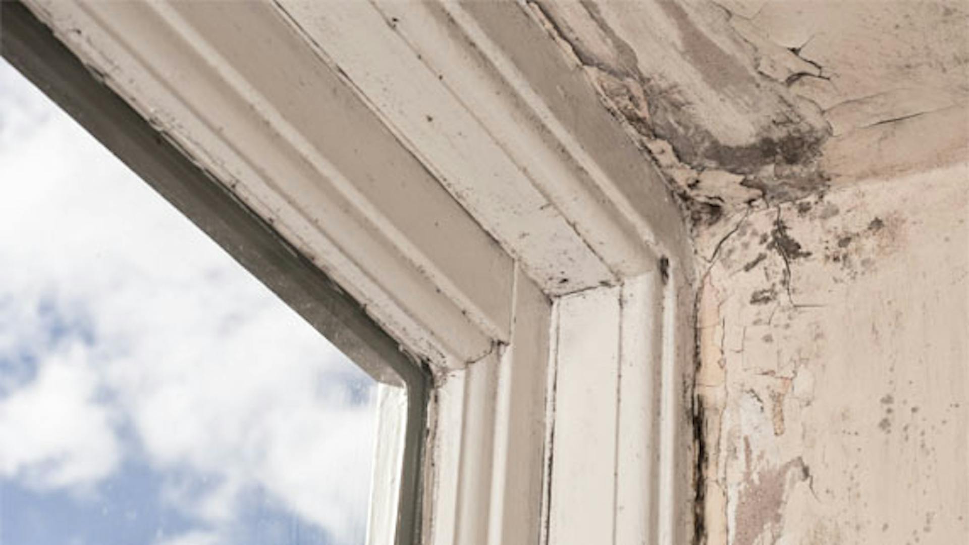 Fensterecke mit Schimmel.