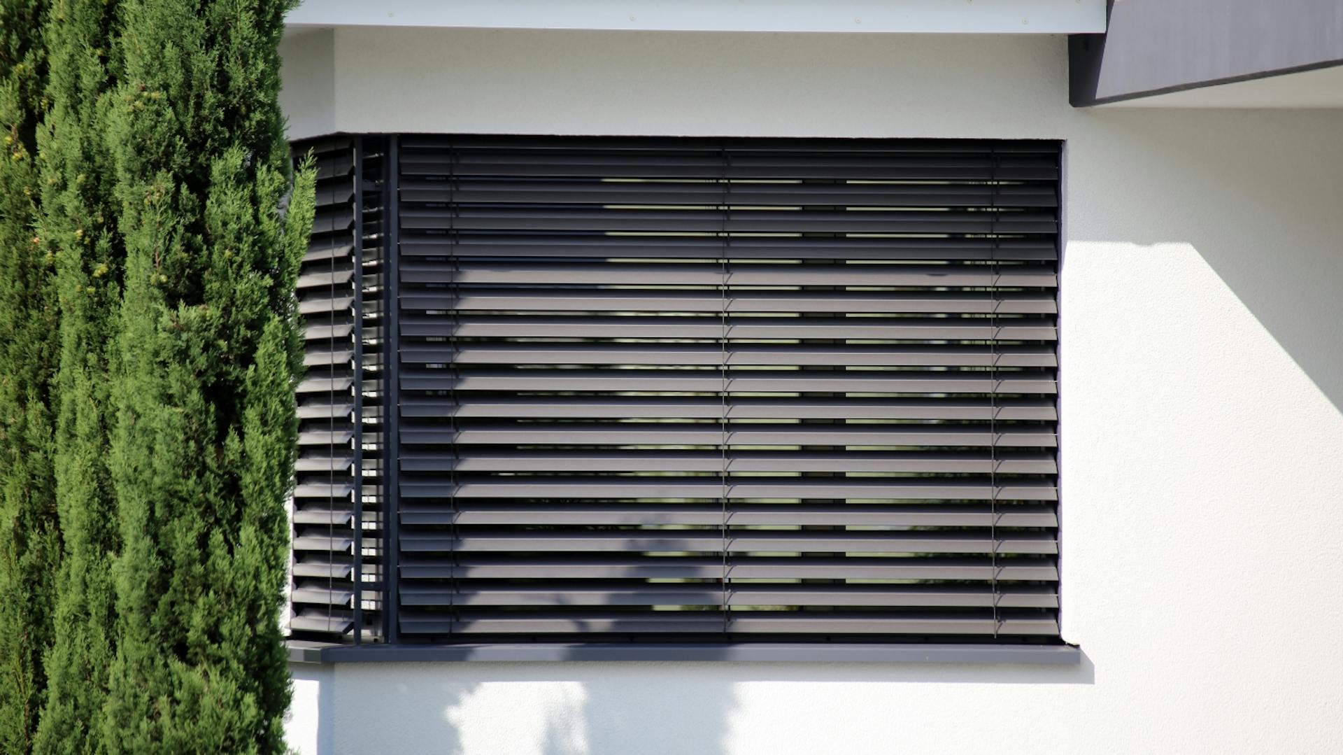 Anthrazitfarbener, runtergelassener Rollo. Daneben Teil eines grünen Baums.
