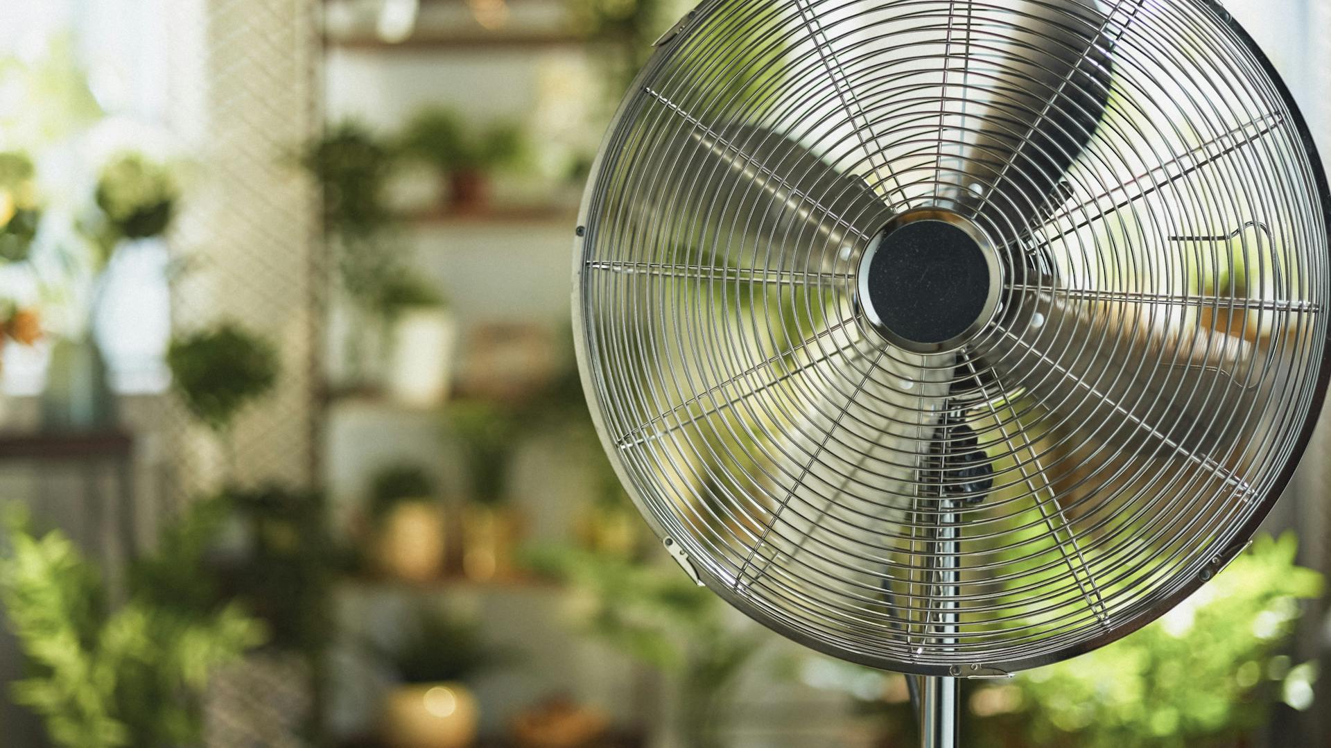 Ein Standventilator steht vor einem Regal voller Zimmerpflanzen