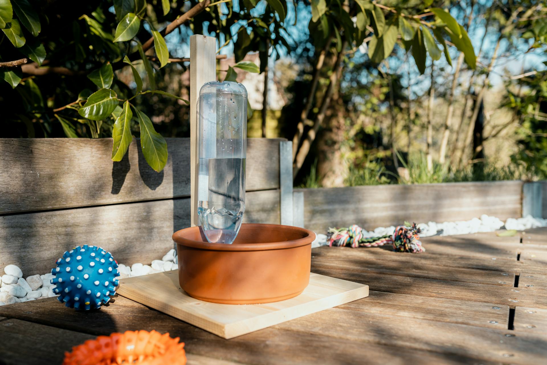 Ciotola per cani fai da te su terrazza assolata