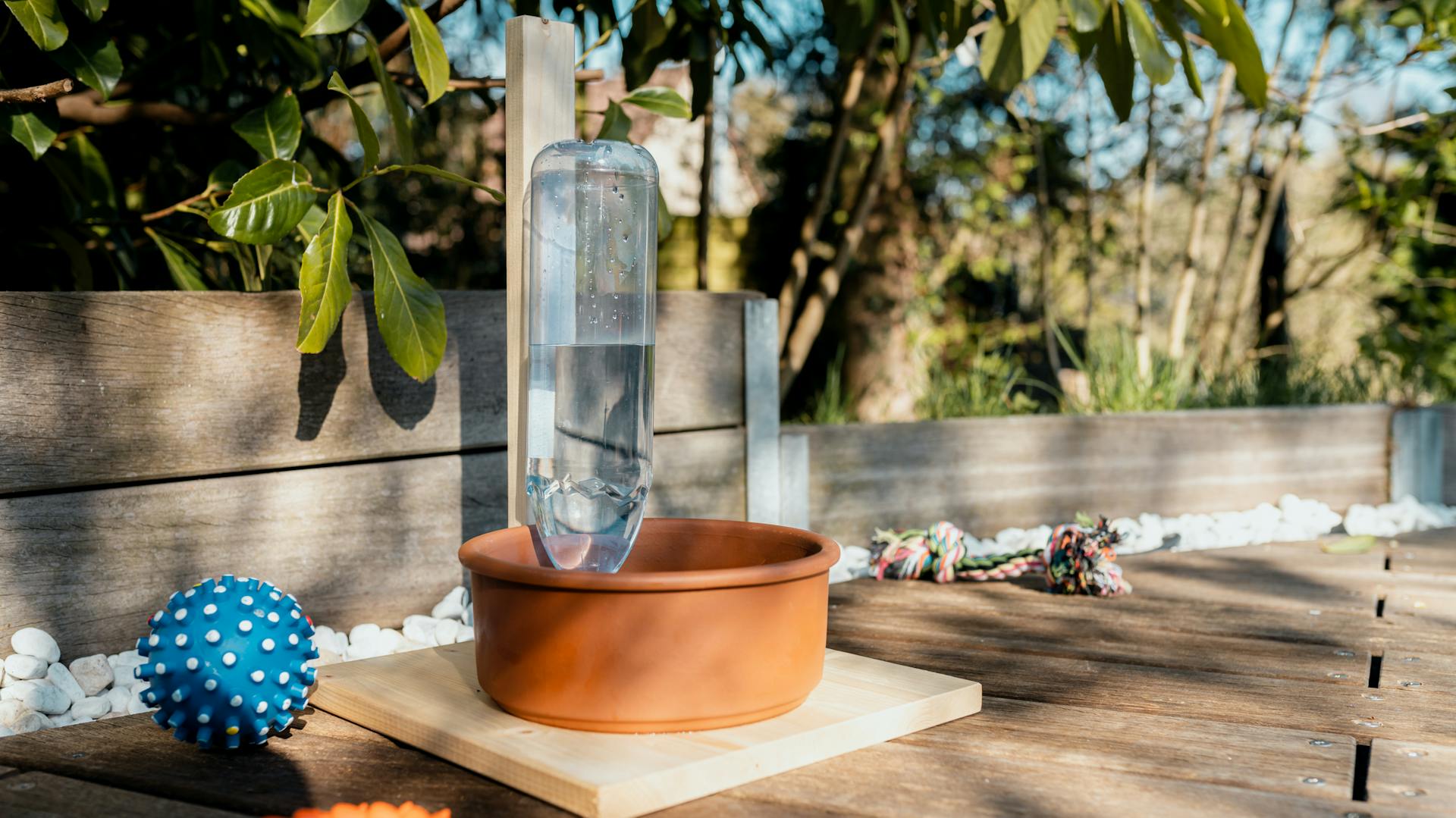 Selbstgemachter Hundenapf auf sonniger Terrasse