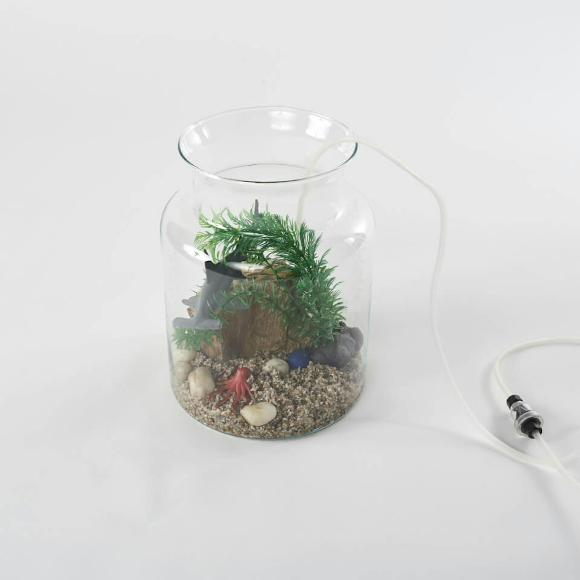 Platzhalterbild und Alt-Text austauschen