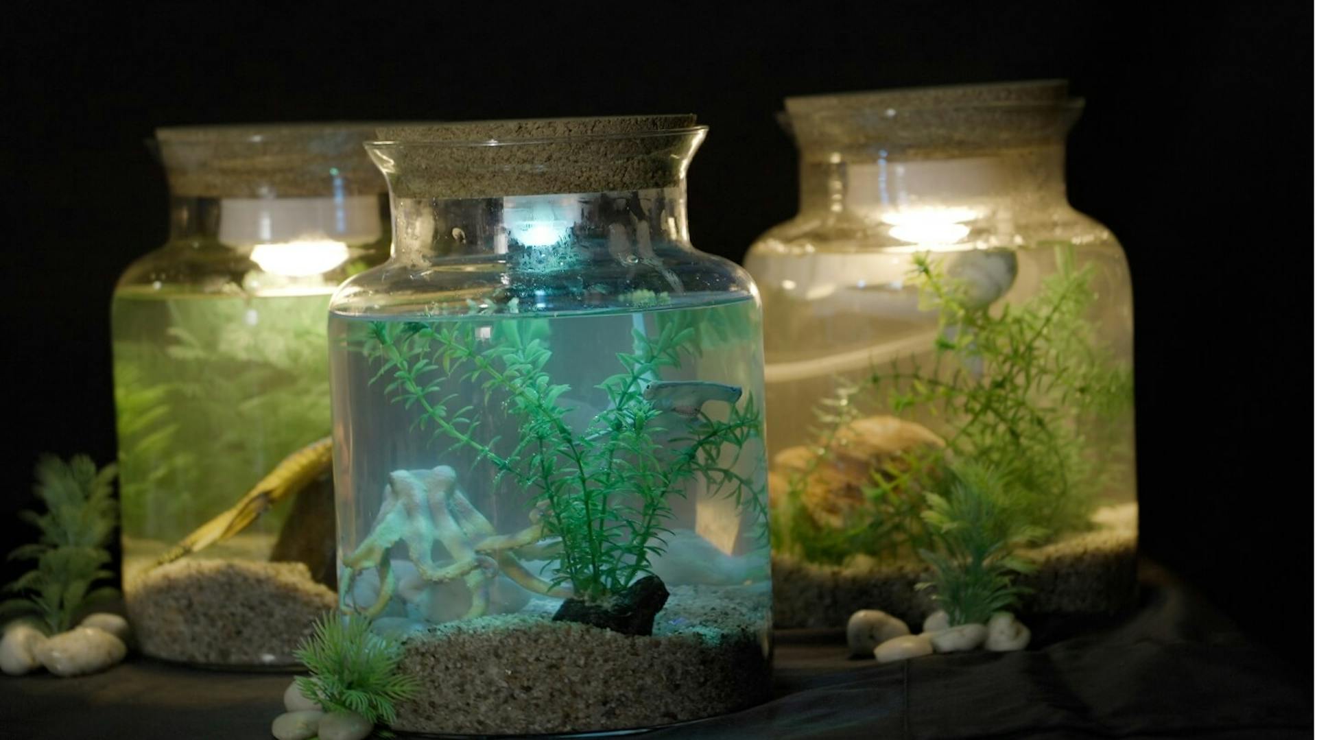 Aquarium-Glas basteln