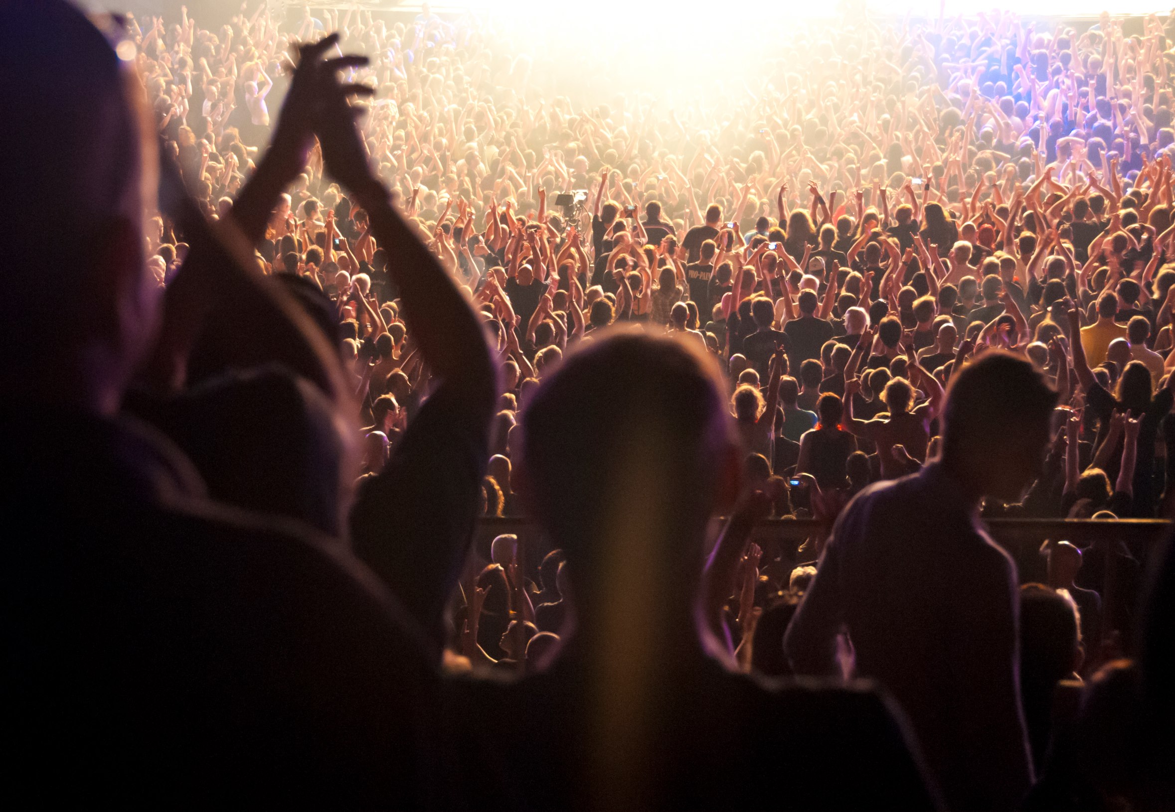 Pubblico a un concerto durante un festival