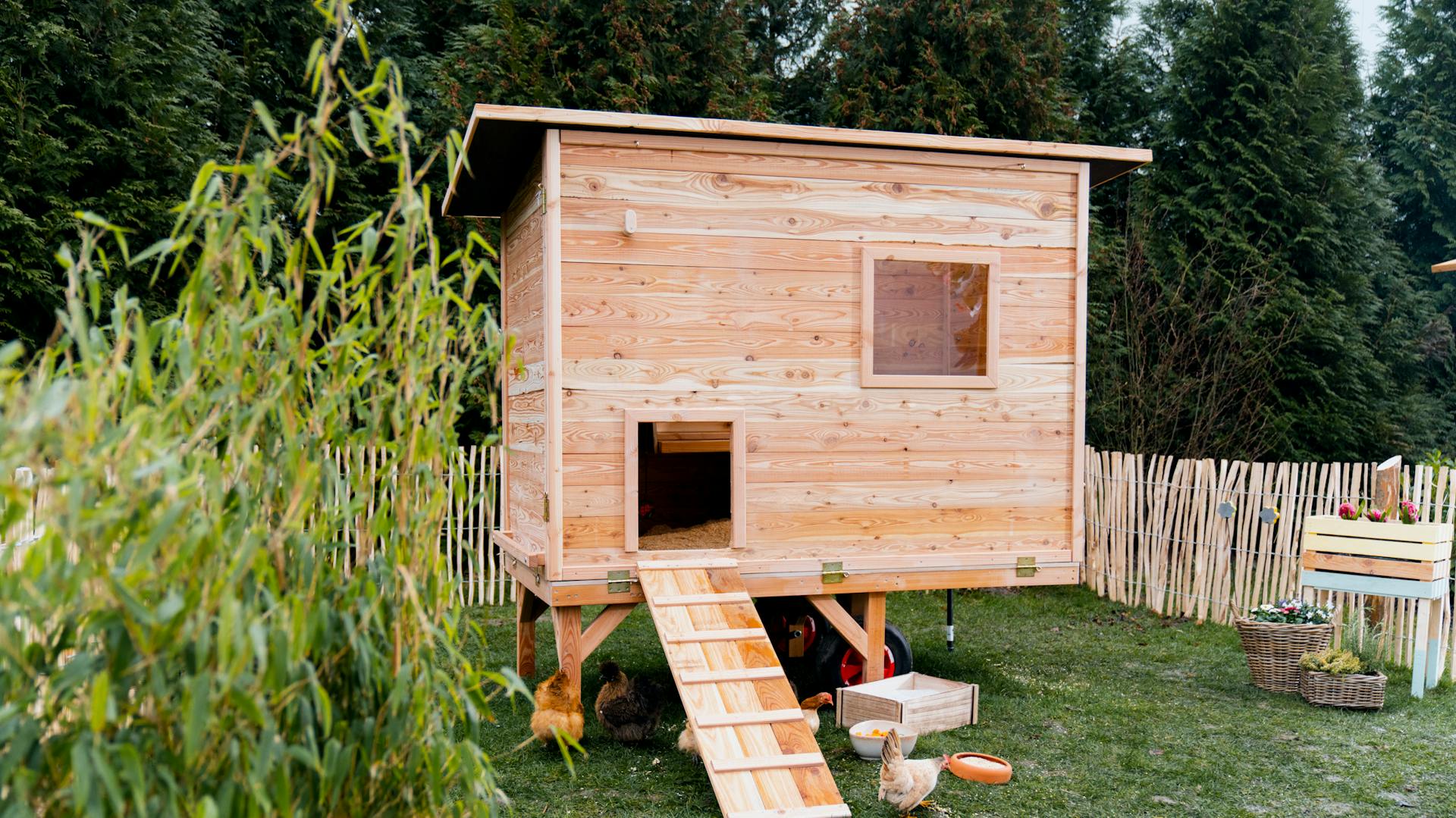 Selbstgebauter Hühnerstall in Garten.