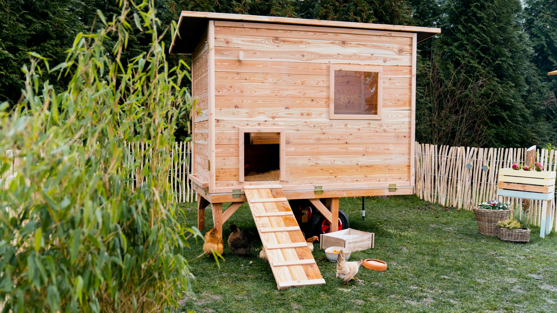 Hühnerstall auf der Wiese