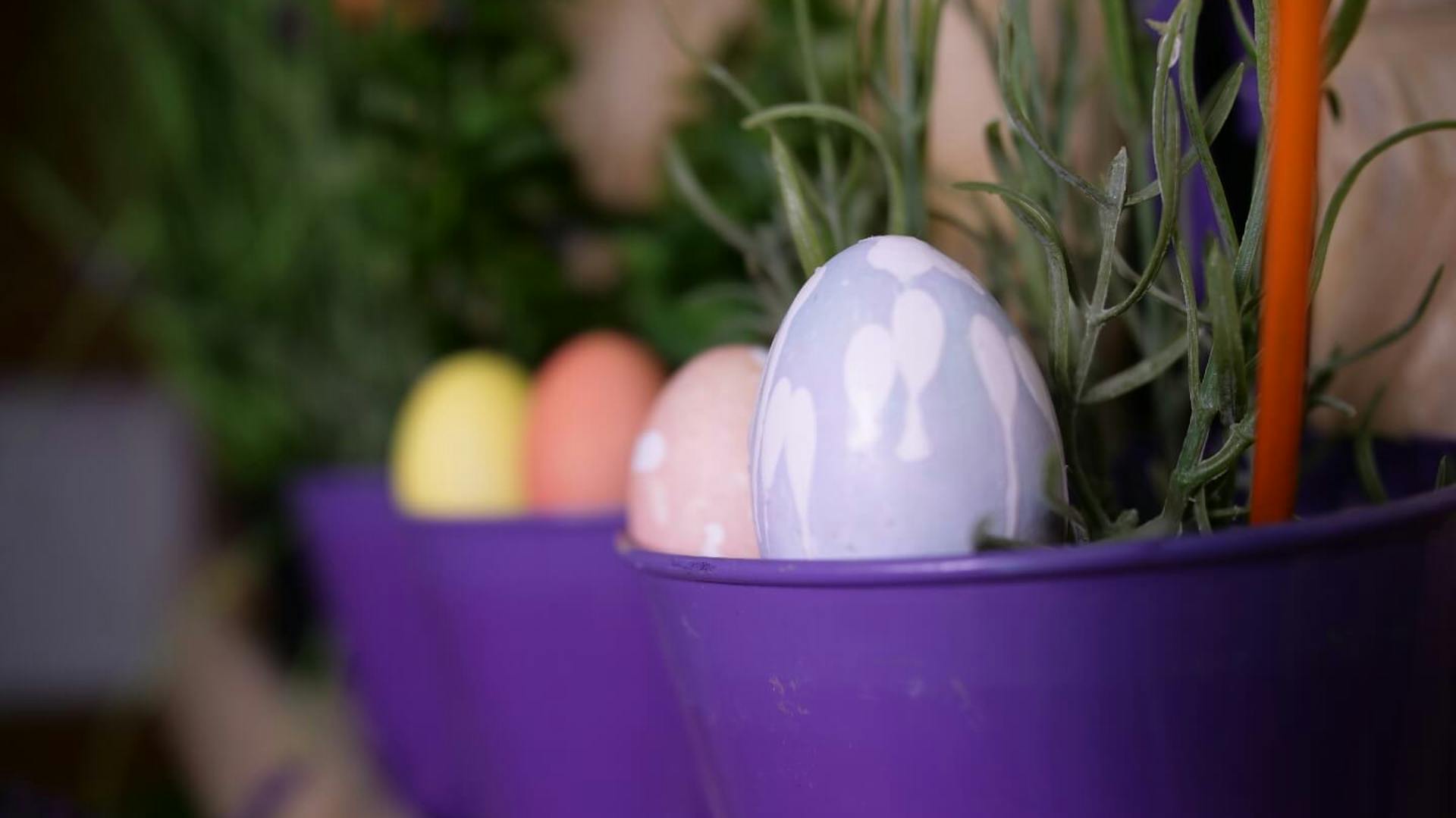 Bunte Ostereier liegen in Blumentöpfen.