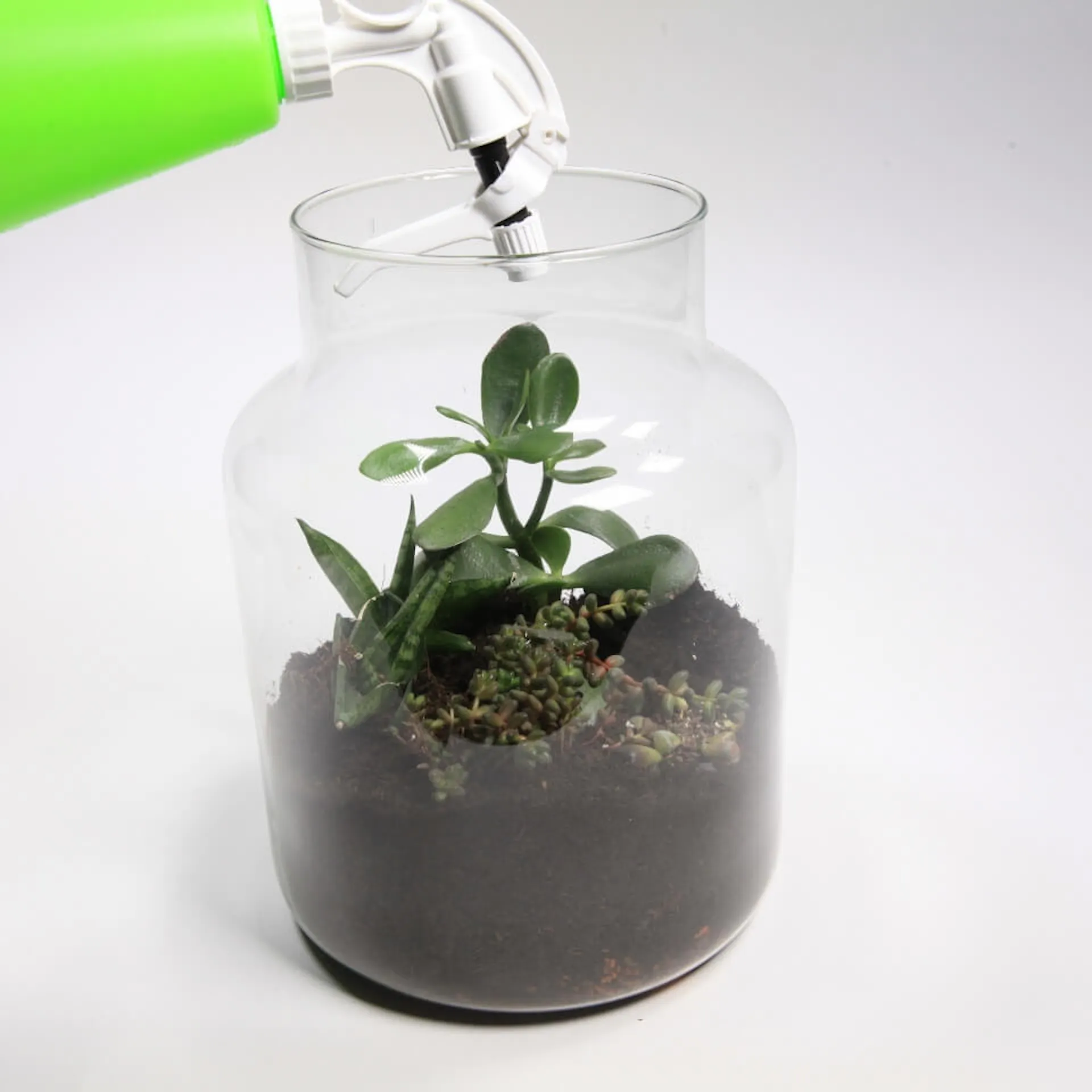 Osoba strieka rastlinu v pohári trochou vody.