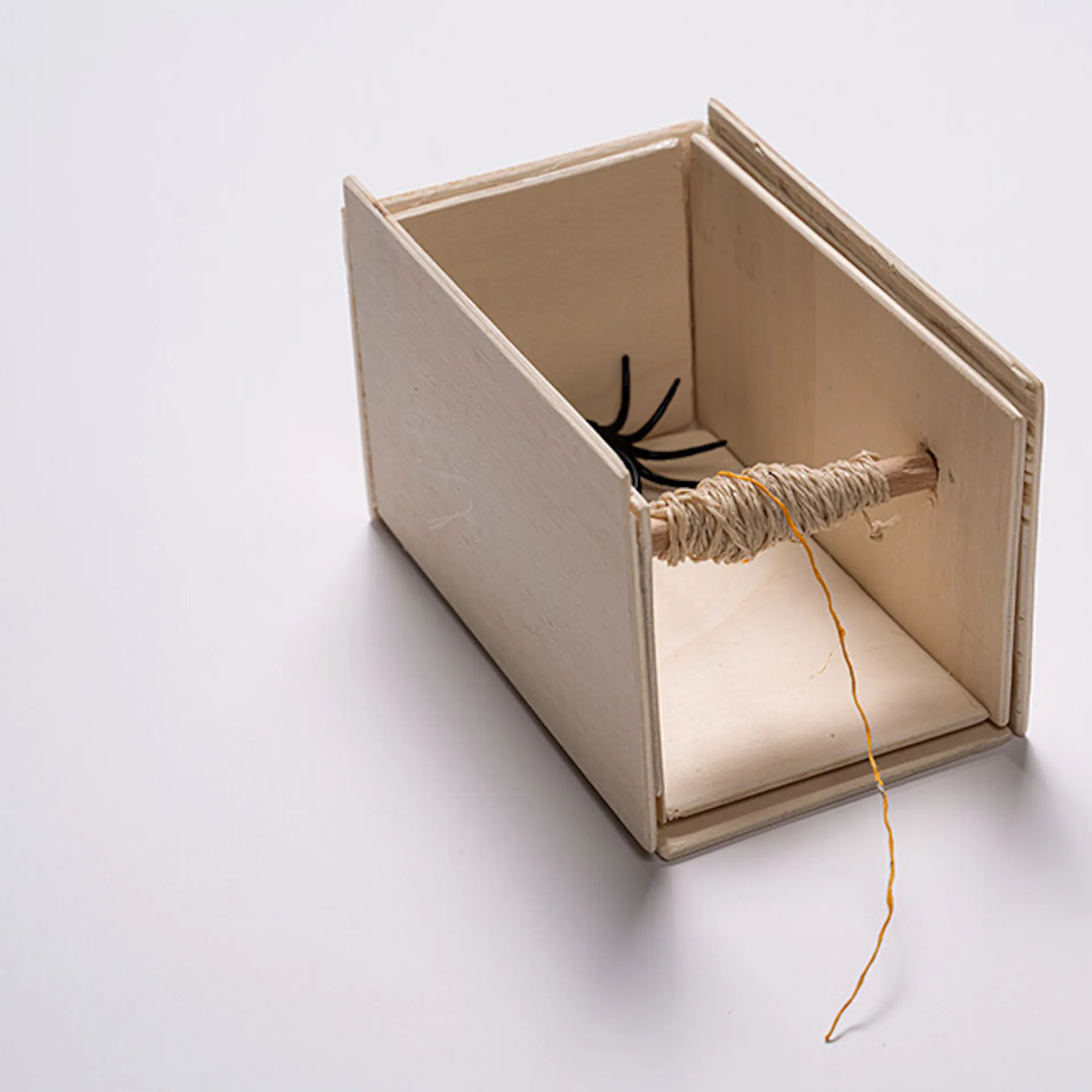 Eine Plastikspinne in einer halb zusammengesetzten Box.