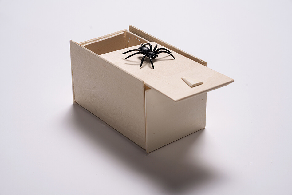 Eine geöffnete Spinnenbox