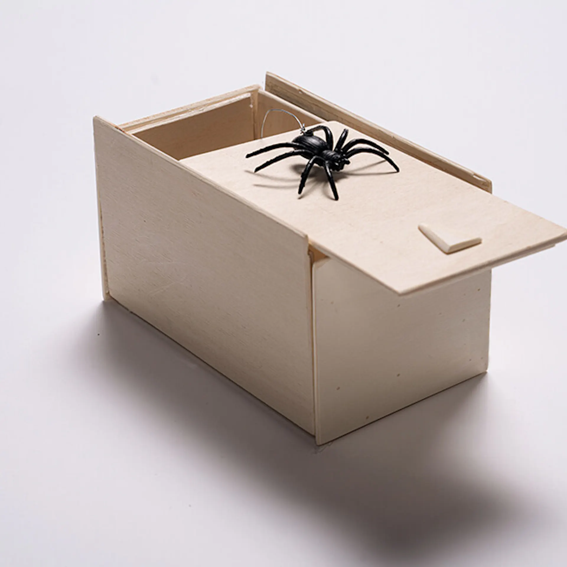Eine geöffnete Spinnenbox