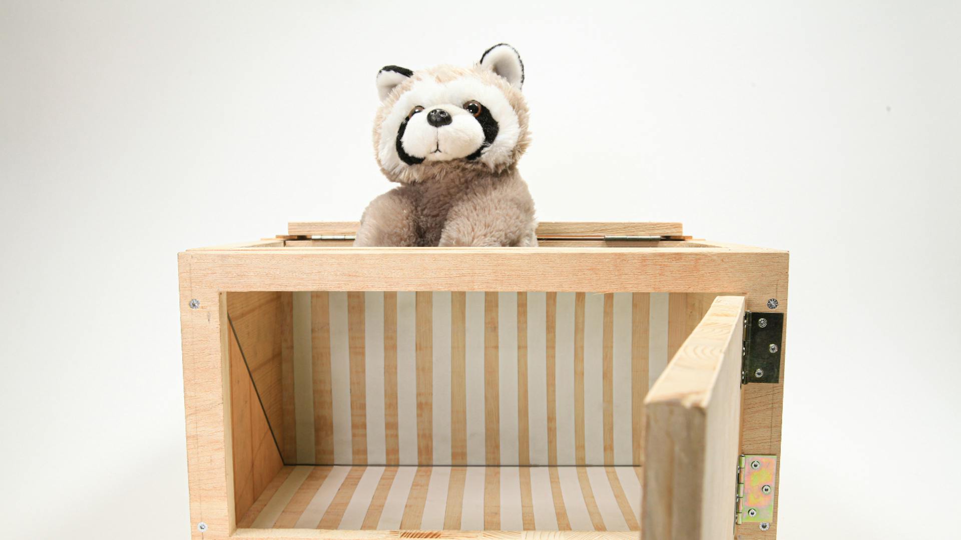 Kuscheltier sitzt halb in Verschwindebox