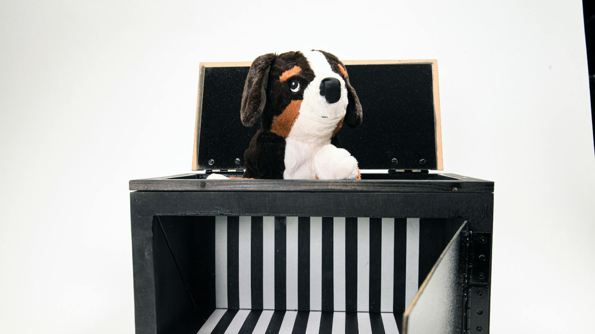 Hundestofftier sitzt in Zauberbox, sodass man nur Kopf sieht.