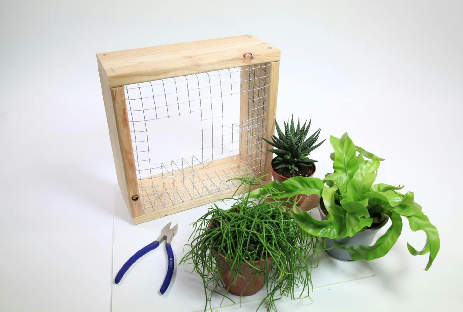 Itt egy dróttal feszített fakeret látható. A dróton több téglalap alakú lyuk van. Előtte három növény áll, mellettük egy oldalcsípőfogó.