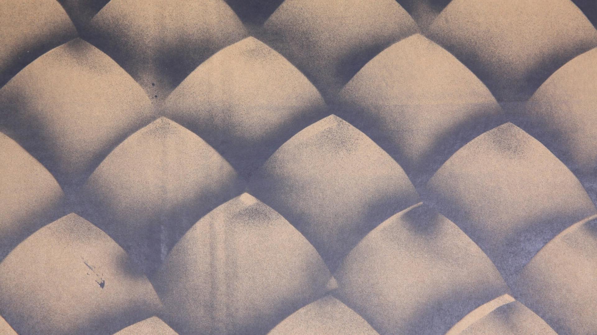 Auf einem dunklen Untergrund ist ein Schuppenmuster zu sehen.