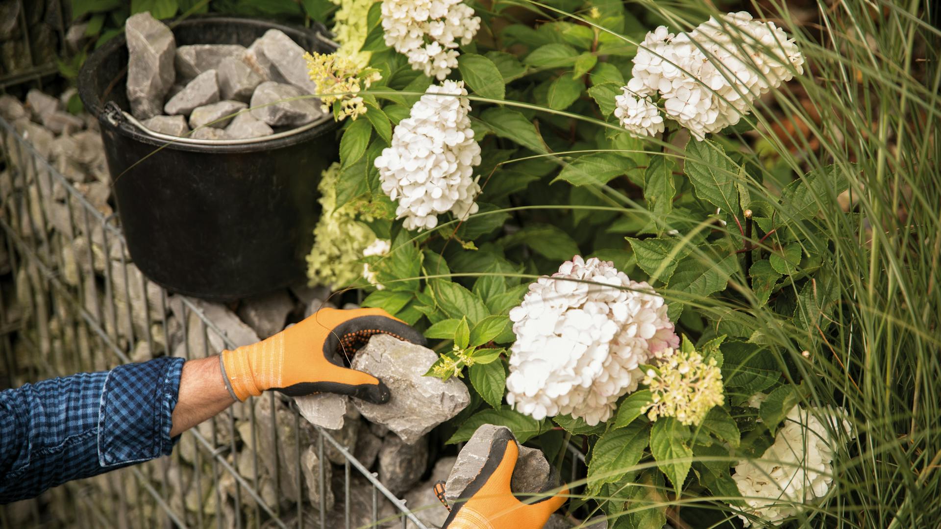 Gabione mit großen Steinen per Hand befüllen.