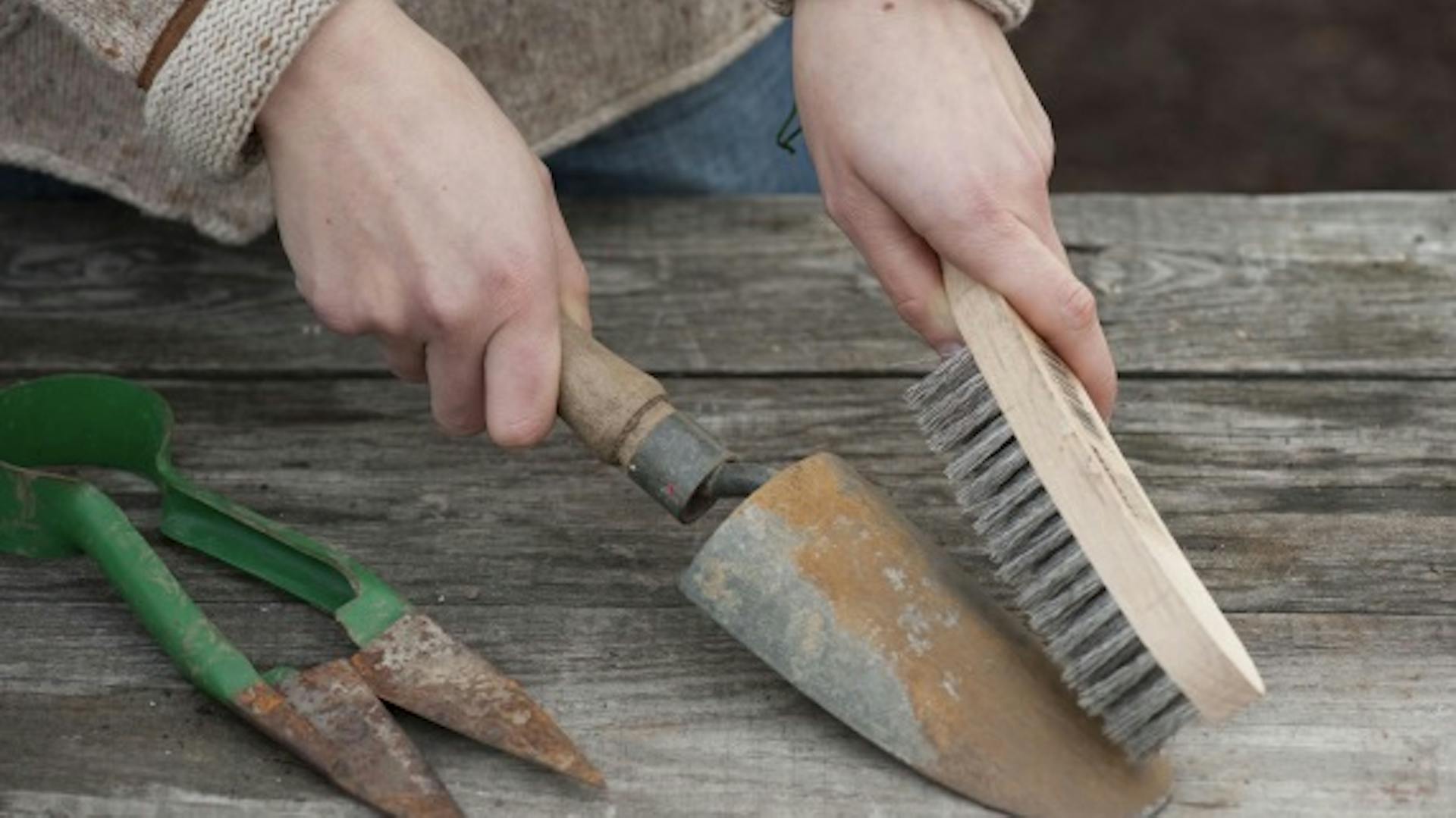 Jemand entfernt Rost von einer Gartenschaufel und Gartenschere mit einer Drahtbürste.