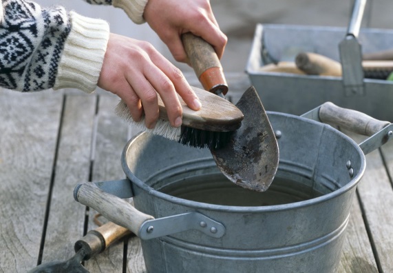 Jemand reinigt eine Gartenschaufel mit einer Bürste und Wasser.