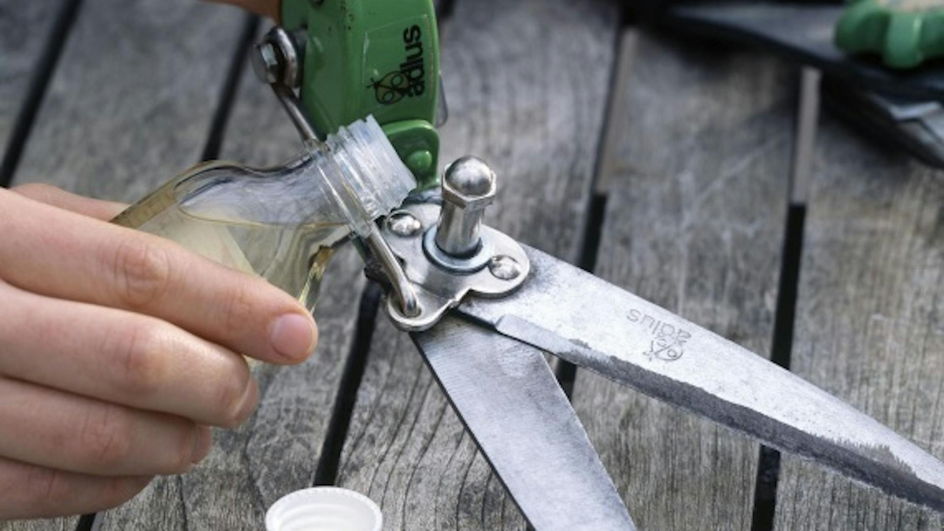 Jemand ölt eine Heckenschere.