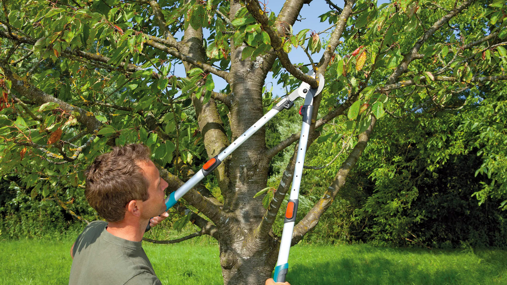 Muž stříhá větev ze stromu teleskopickými nůžkami Gardena.
