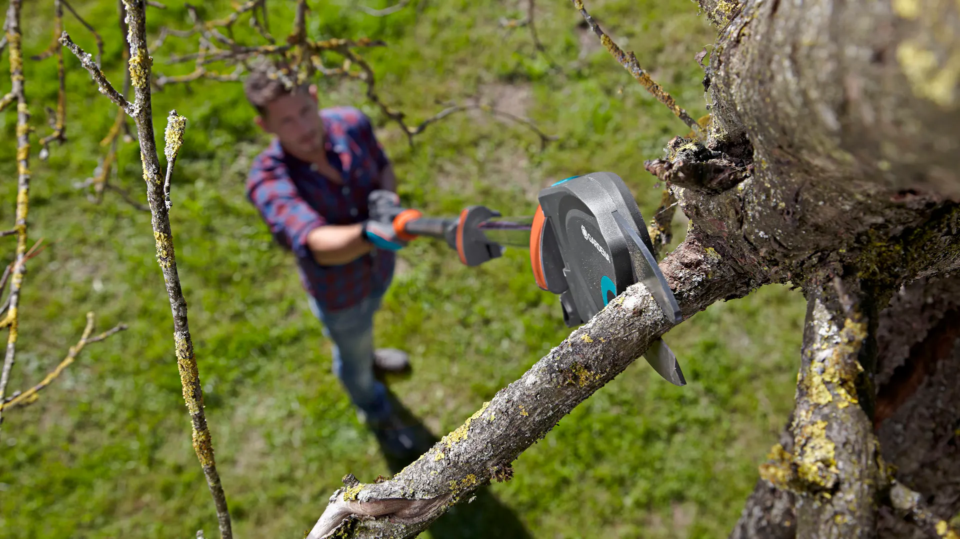 Teleskopické nůžky na větve stříhají větve ke stromu