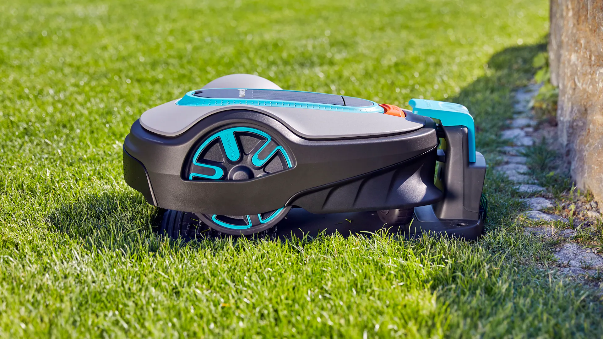 Mähroboter auf Rasenfläche