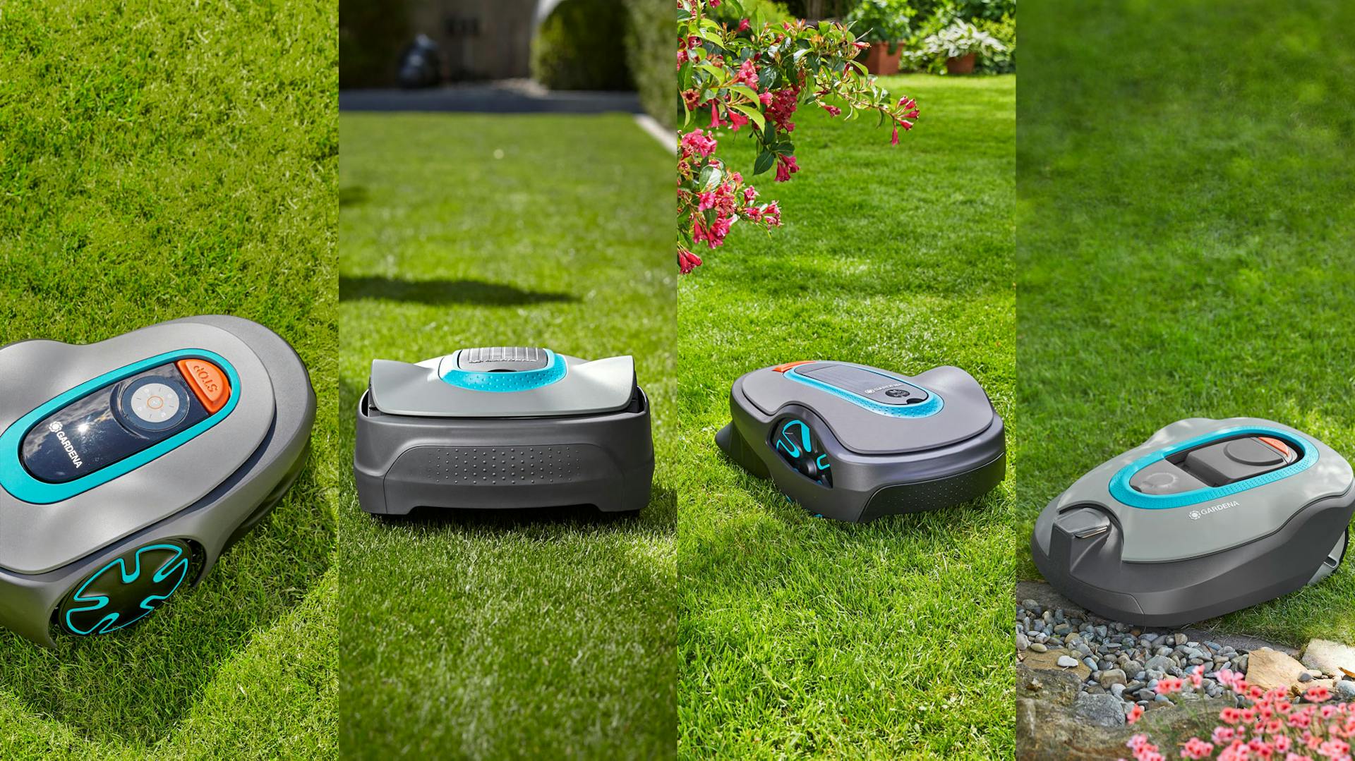 Mähroboter im direkten Vergleich