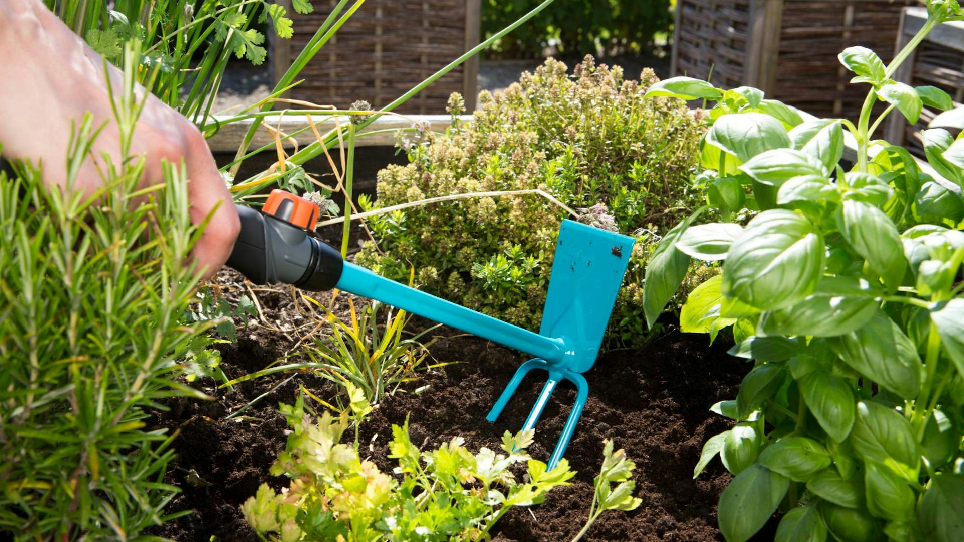 Hand mit Harke in Beet