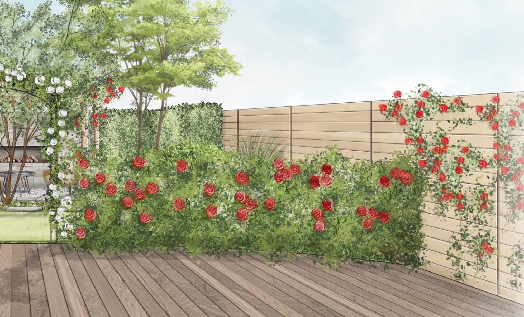 Skizze vom romantischen Garten mit einer Rosenhecke an der Holzterrasse
