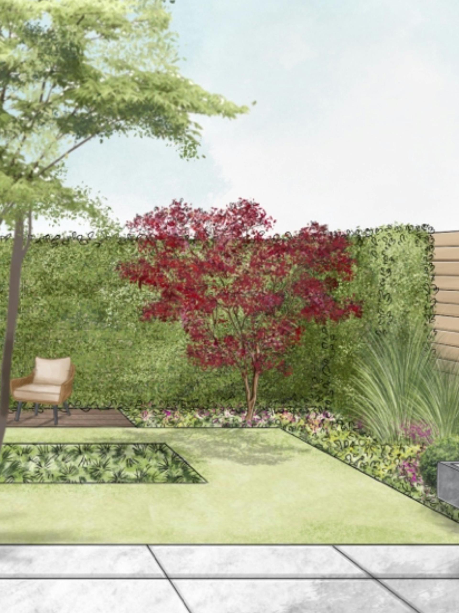 Klasszikus kert vázlata vörös lombú fás növénnyel