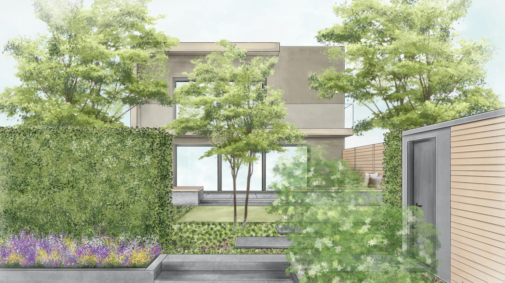Zeichnung von einem modernen Garten mit einer hohen Hecke und Bäumen