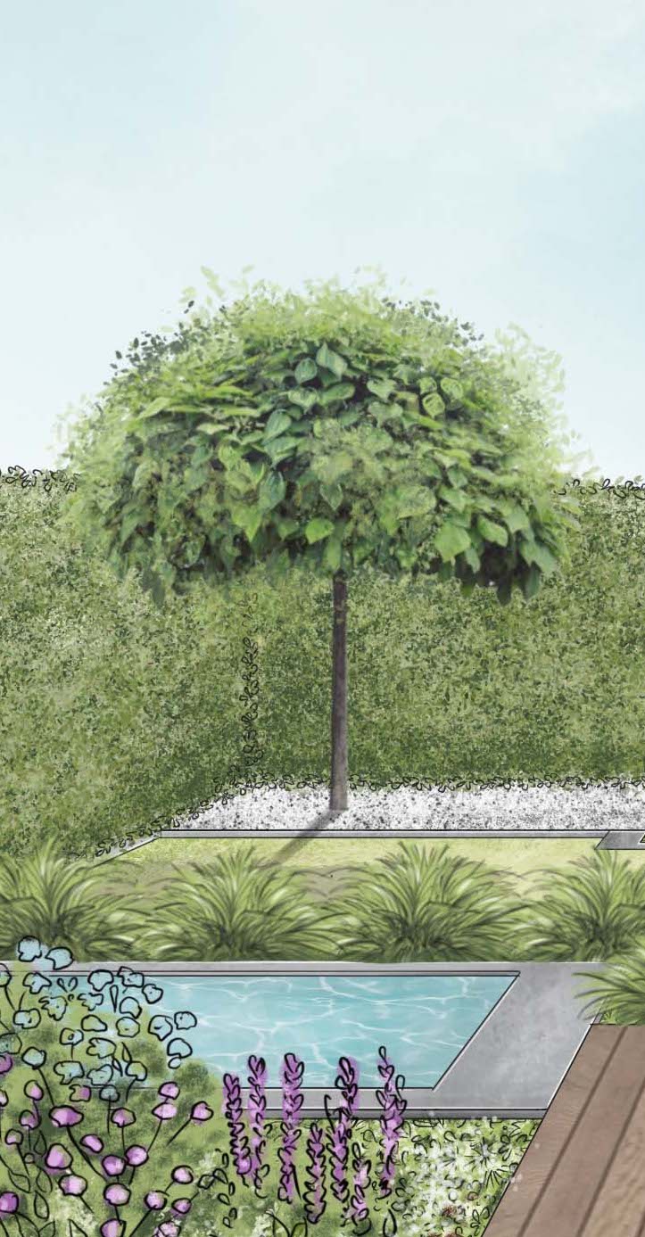 Gartenplanung vom Experten Gestalte deinen modernen Garten günstig