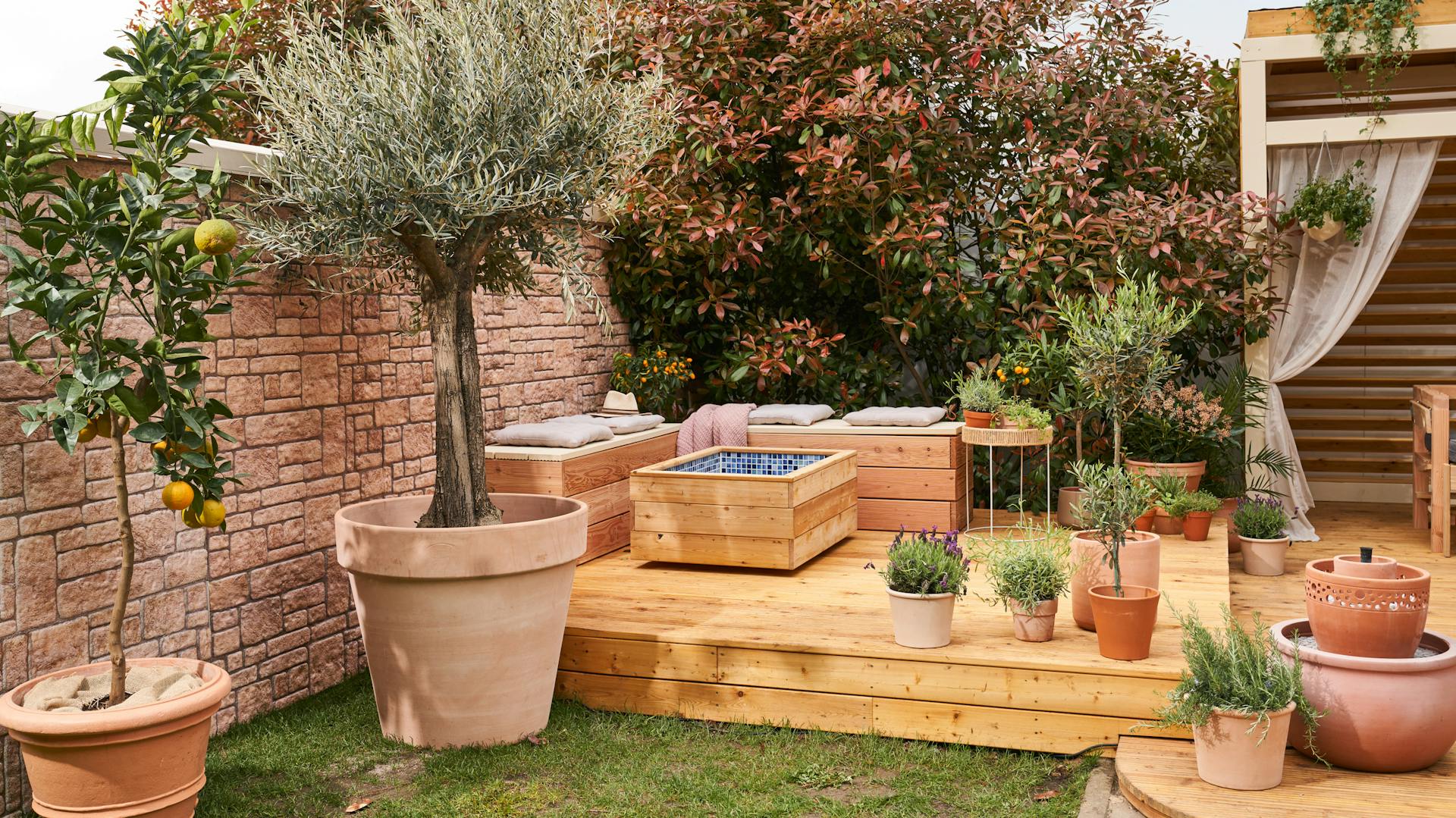 Holzterrasse mit Olivenbaum und Sitzbänken