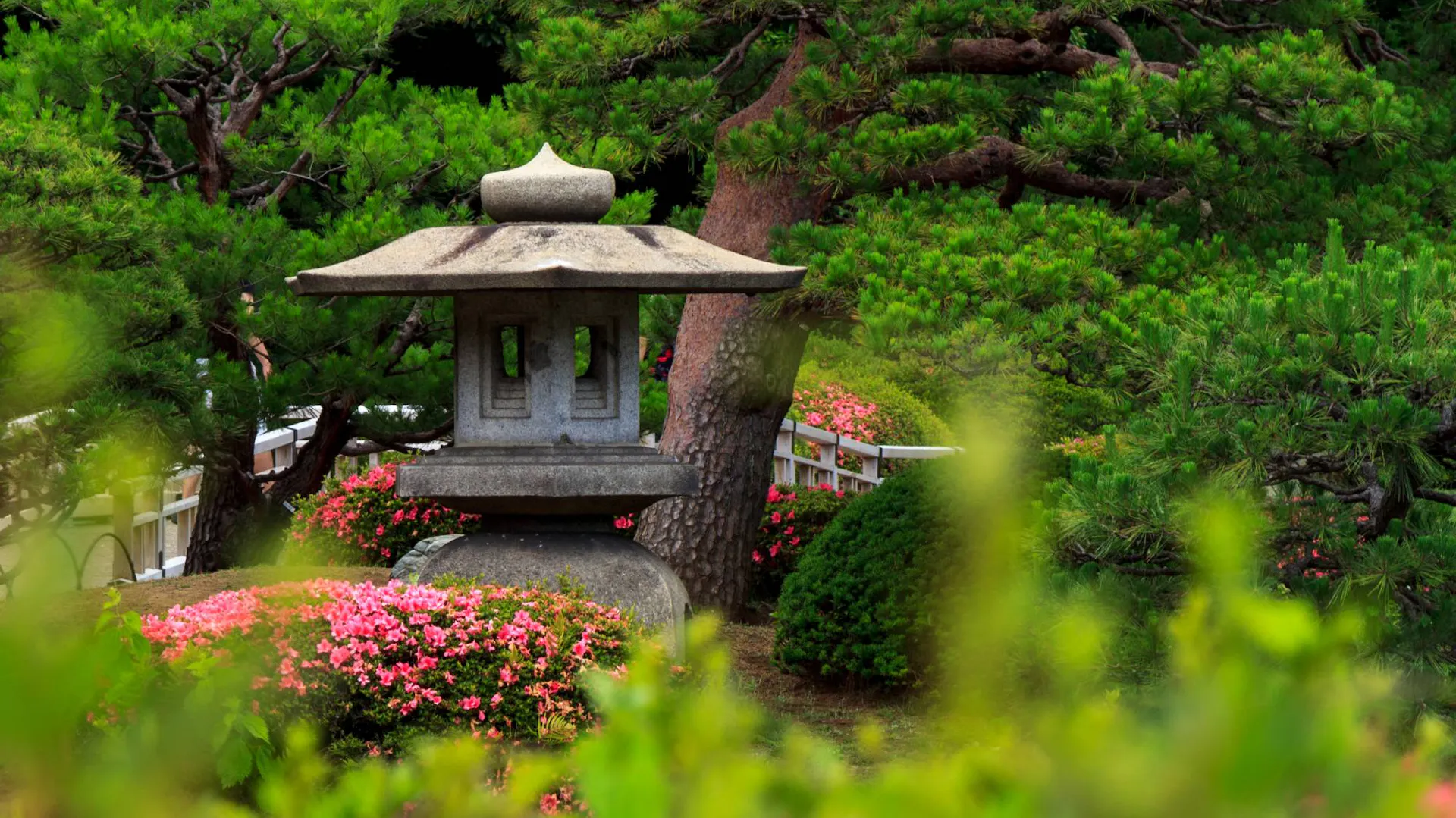 Pagoda mezi stromy v asijské zahradě