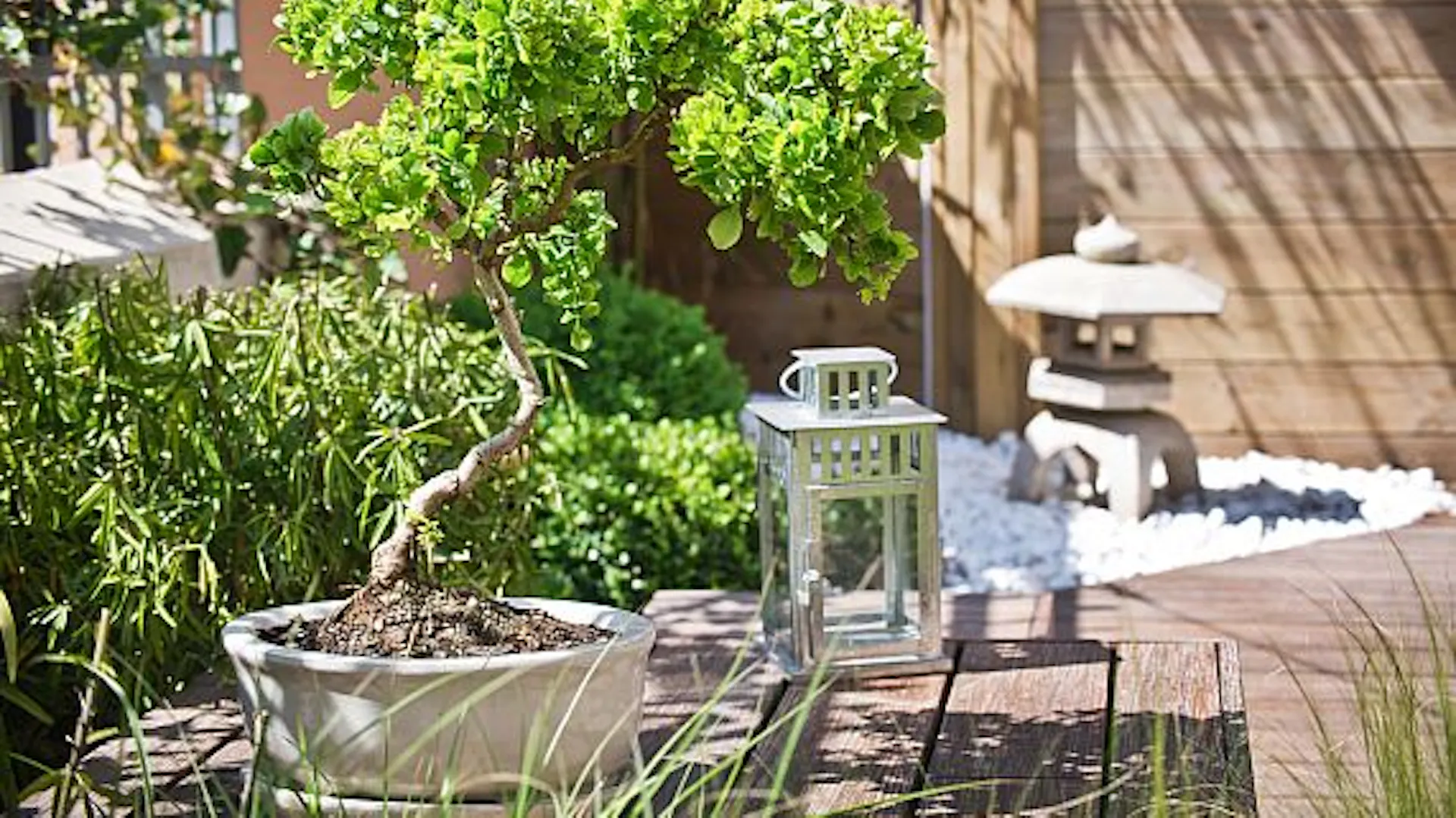Terasa s bonsají, zahradní lucernou a pagodou