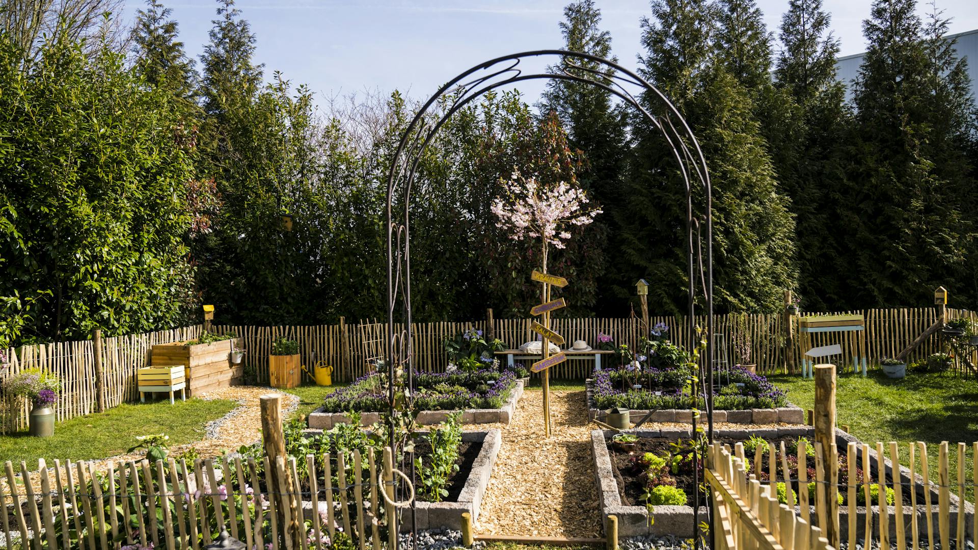 Pohľad do udržiavanej, novo vysadenej záhrady pri domčeku.