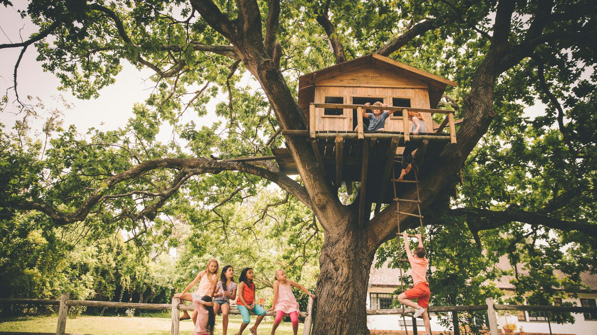 Kinder spielen in einem selbstgebauten Baumhaus im Garten.
